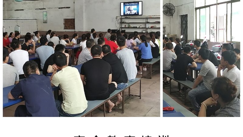 少儿编程品牌排行榜背后的秘密：2025年趋势解读